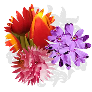 Bildvorschau - entfesselte Blumenpracht